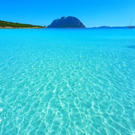 Seaside Elegance 50m From The Prázdninový dům *