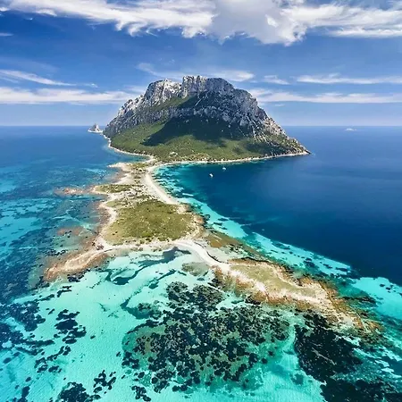 Prázdninový dům Seaside Elegance 50m From The Olbia