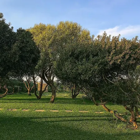 Seaside Elegance 50m From The Olbia