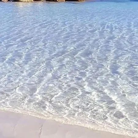 Prázdninový dům Seaside Elegance 50m From The Olbia