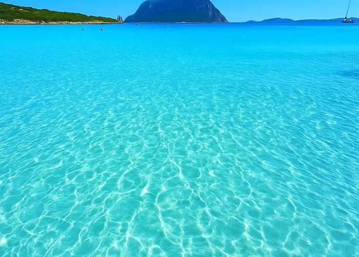 Seaside Elegance 50m From The Vakantiehuis *