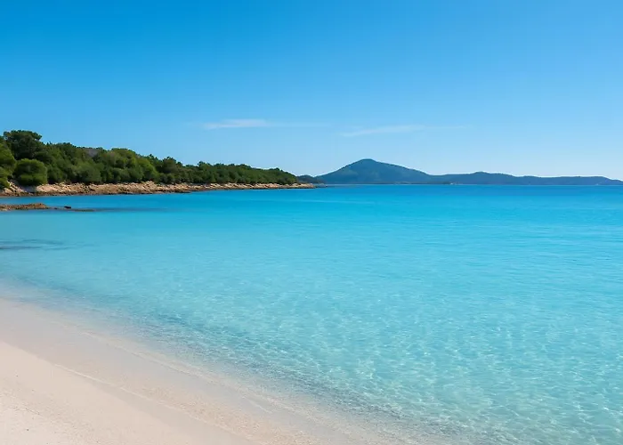 Seaside Elegance 50m From The