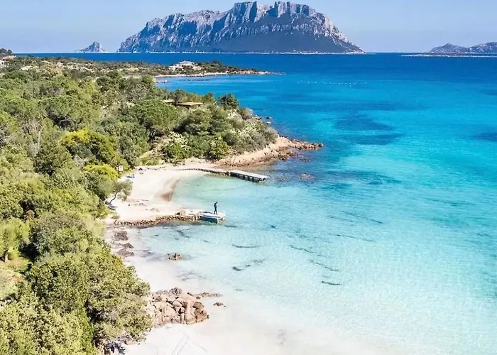 Seaside Elegance 50m From The