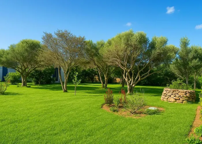 Seaside Elegance 50m From The Vakantiehuis Olbia