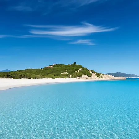 Seaside Elegance 50m From The * אולביה