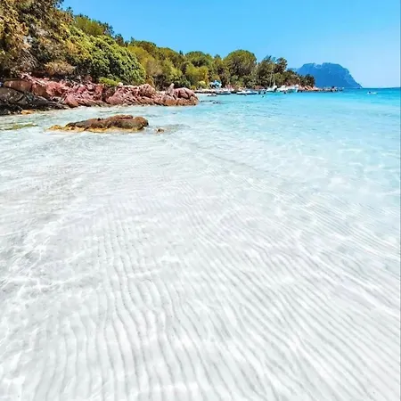 Seaside Elegance 50m From The