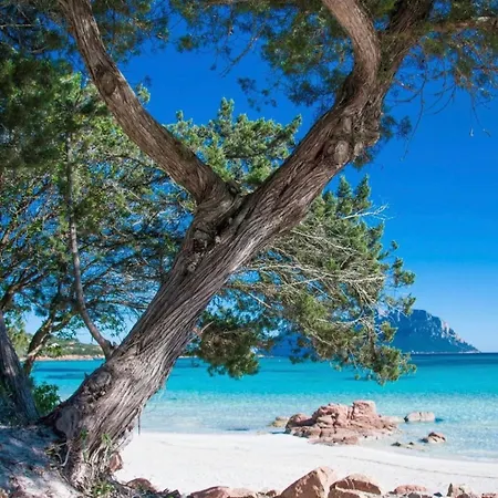 Seaside Elegance 50m From The *