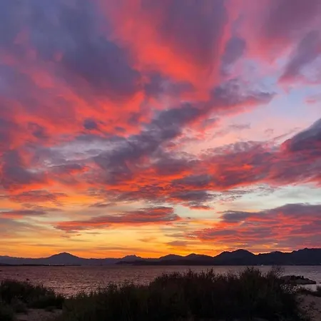 Seaside Elegance 50m From The * אולביה