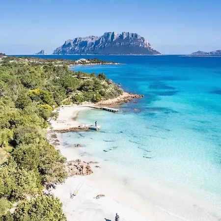 Seaside Elegance 50m From The