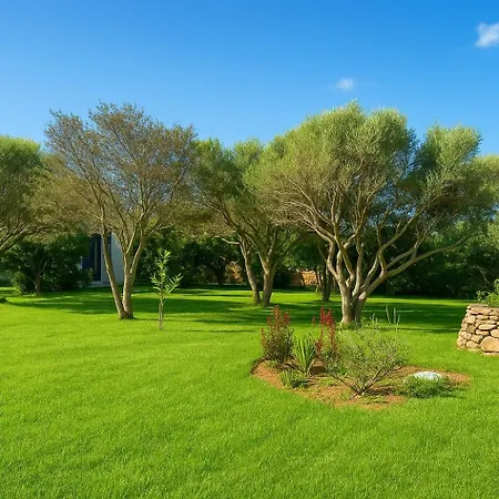 Seaside Elegance 50m From The בית נופש אולביה